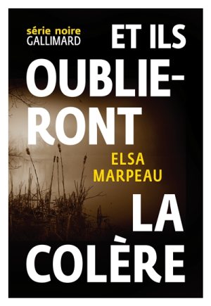 Le nouveau roman d’Elsa Marpeau, salué par la critique