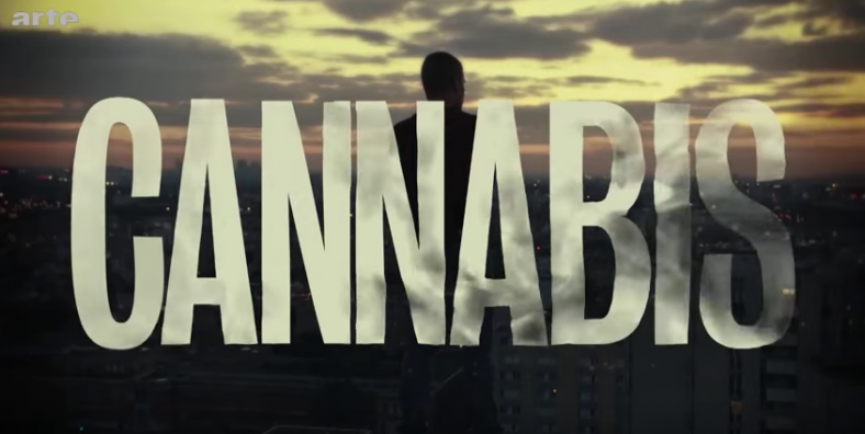 « Cannabis » la série d’Hamid Hlioua sur Arte